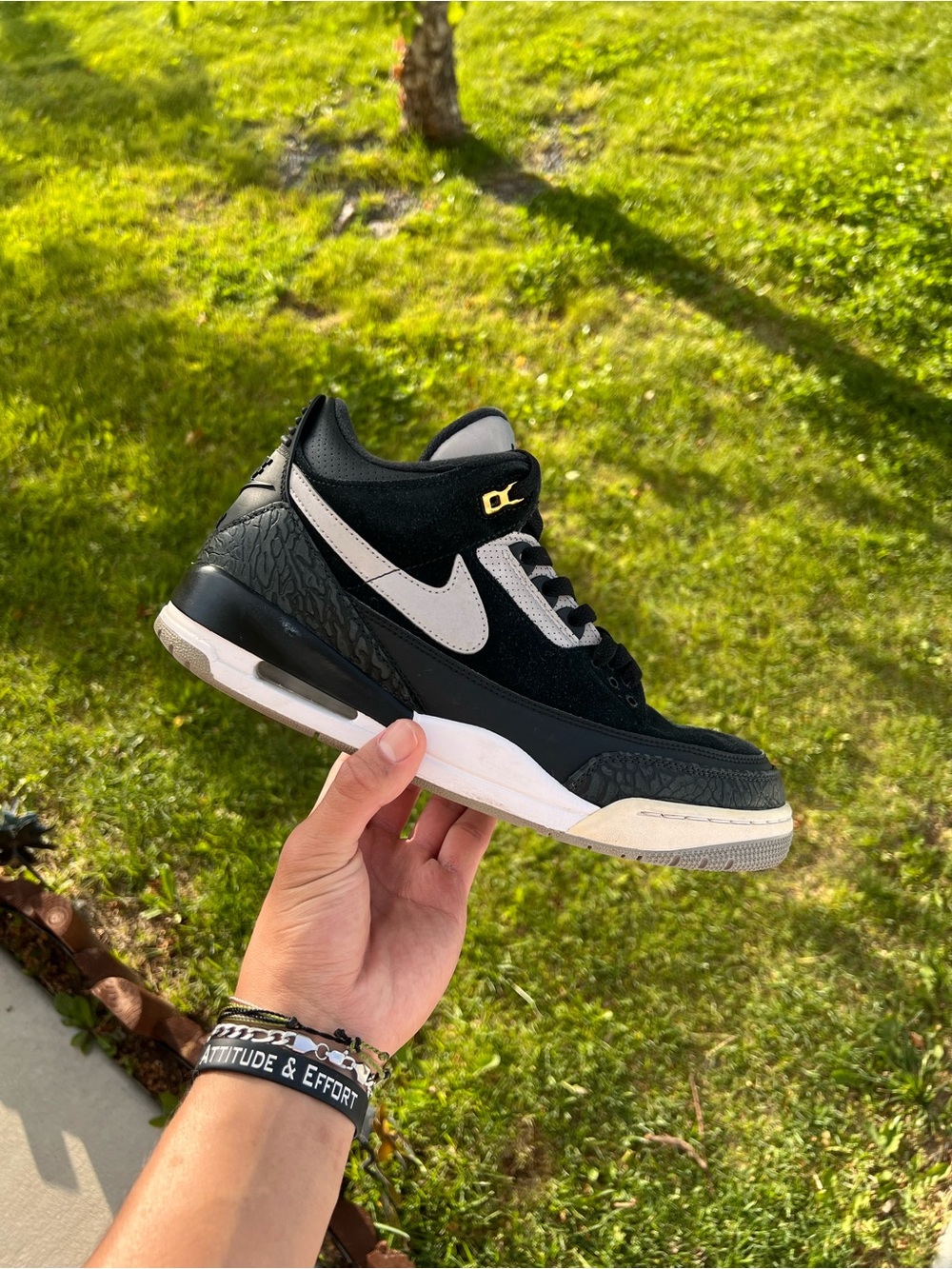 Jordan 3 Tinker Black and White